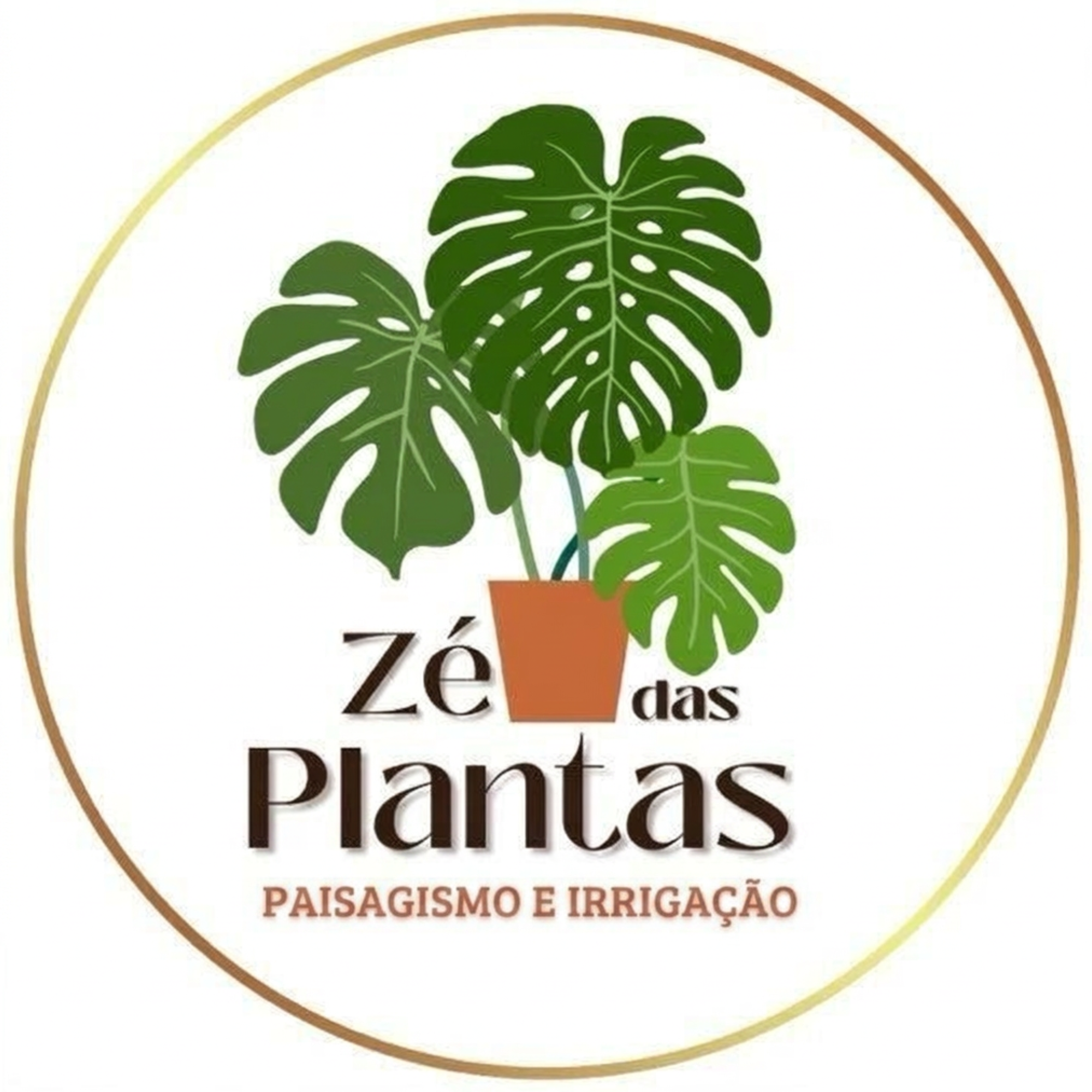 Zé das Plantas - Paisagismo e Irrigação